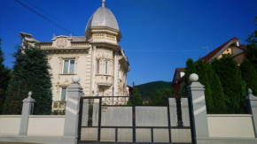 Apartament la curte Mariana